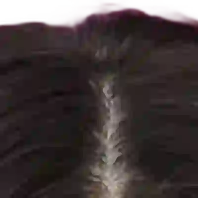 Selena Gomez's hair — very dark warm-brown at the scalp