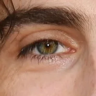Timothée Chalamet's eyes — olive-green hazel, vivid and light